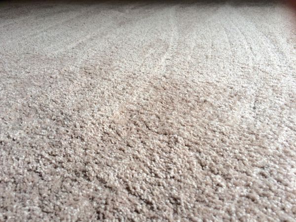 Plush Carpet Installation in San Clemente